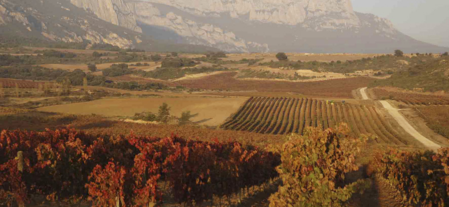 El V Centenario del ‘Camino Ignaciano’ peregrina por Rioja Alavesa